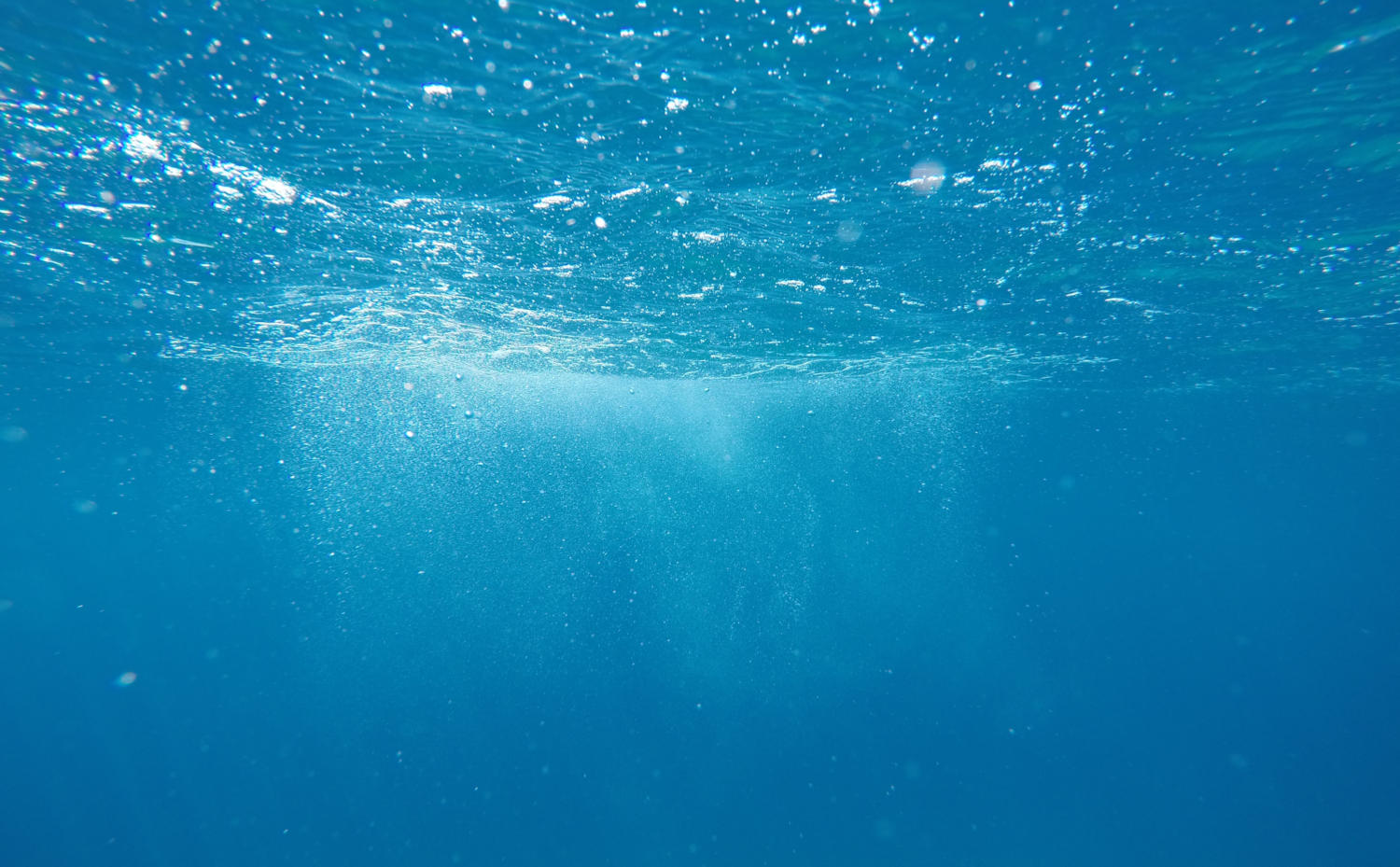 startseite-unten.61fbabb435c58